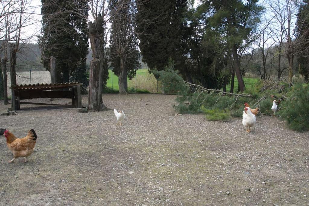 Casa Vacanze Podere San Giusto Вольтерра Экстерьер фото