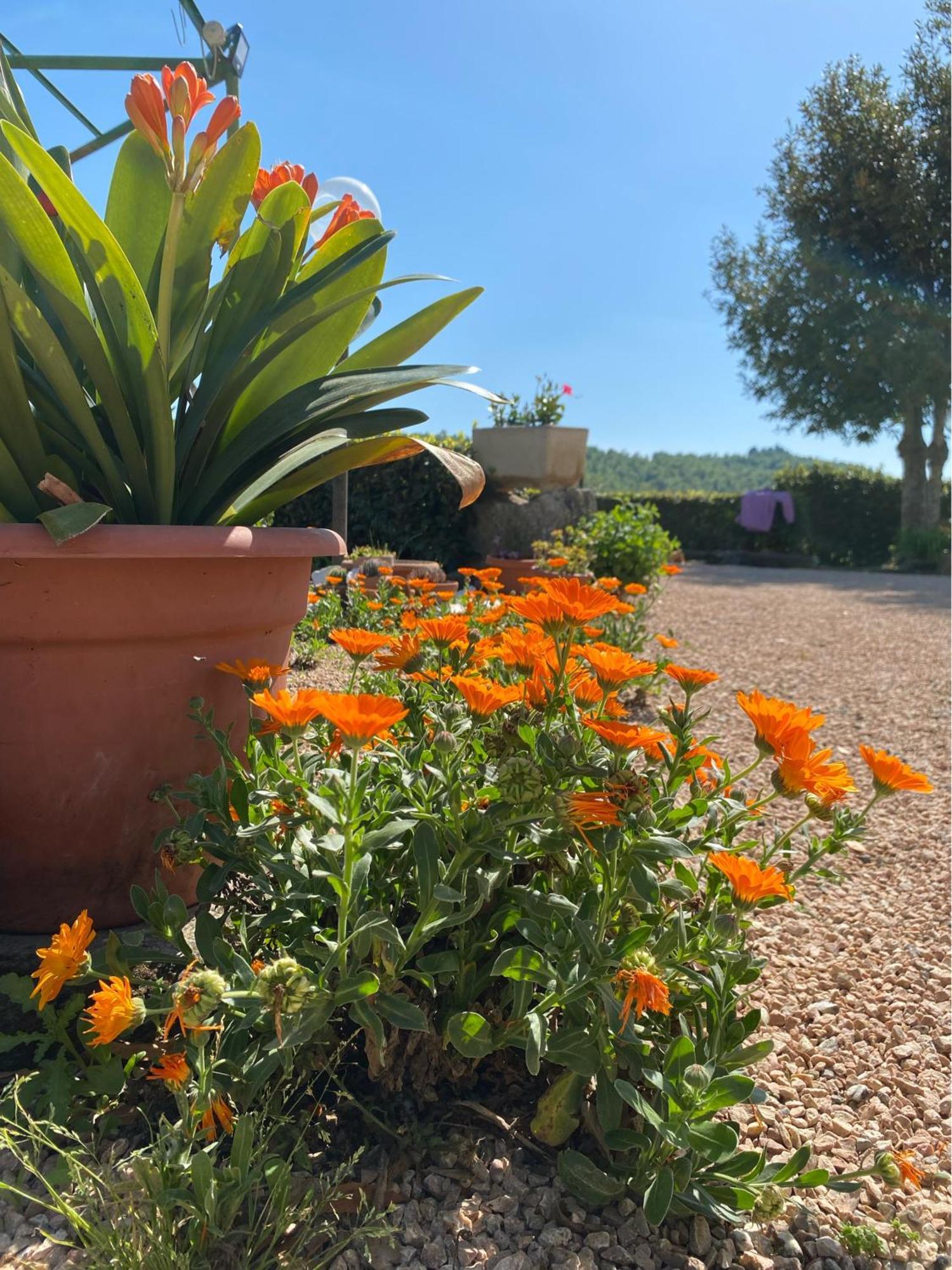 Casa Vacanze Podere San Giusto Вольтерра Экстерьер фото