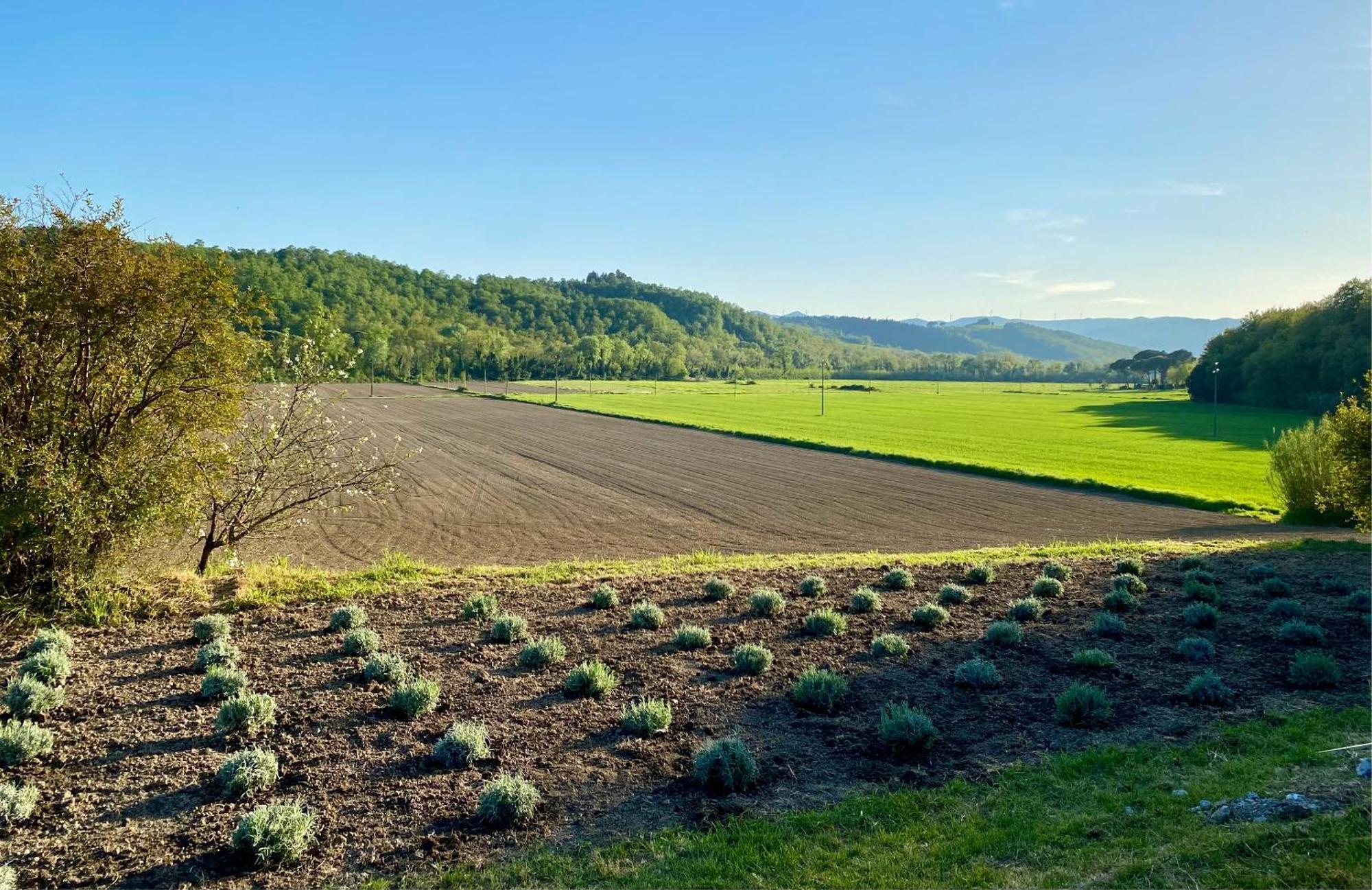 Casa Vacanze Podere San Giusto Вольтерра Экстерьер фото