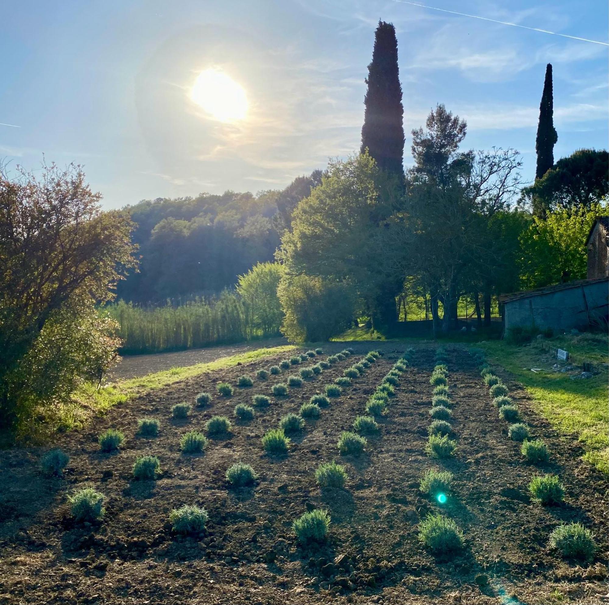 Casa Vacanze Podere San Giusto Вольтерра Экстерьер фото