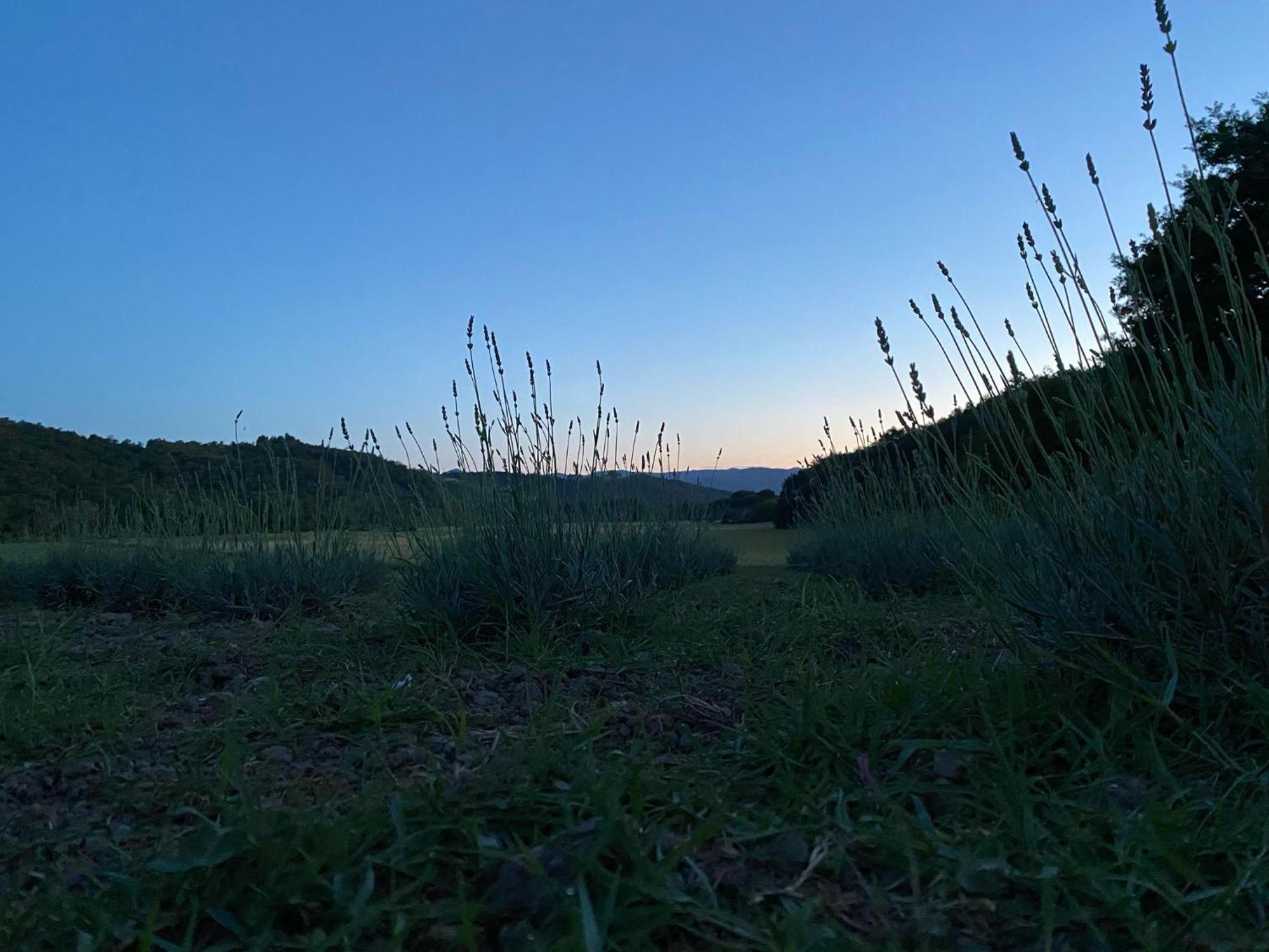 Casa Vacanze Podere San Giusto Вольтерра Экстерьер фото