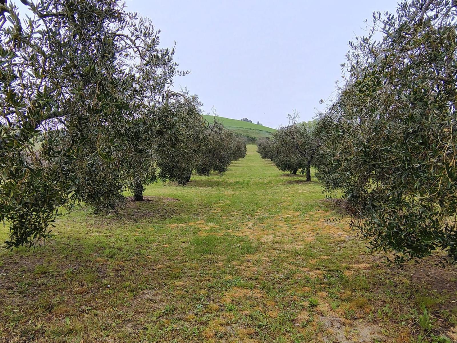 Casa Vacanze Podere San Giusto Вольтерра Экстерьер фото
